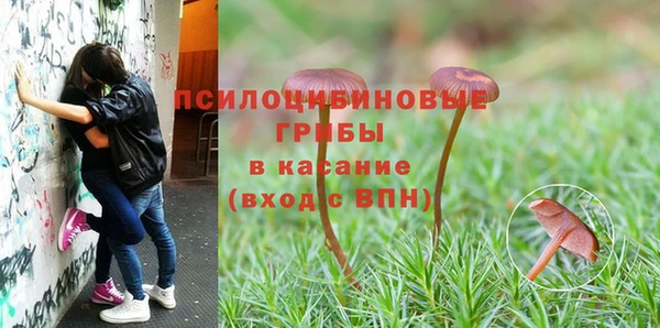 твердый Балахна