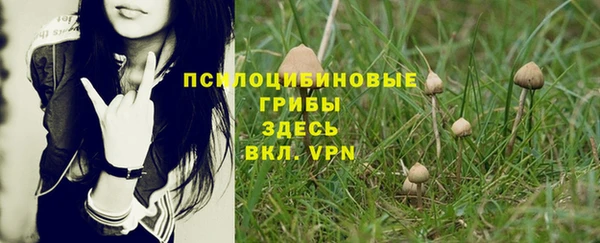 бошки Баксан