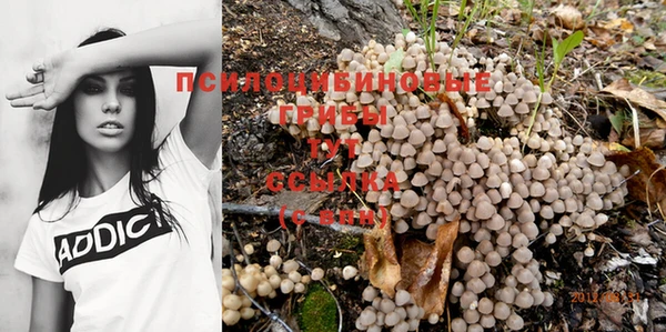 твердый Балахна