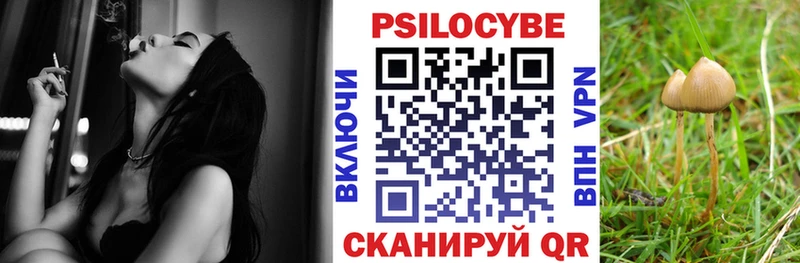 купить наркотики цена  Макарьев  MEGA сайт  Галлюциногенные грибы Magic Shrooms 
